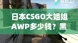 日本CSGO大姐姐AWP多少錢