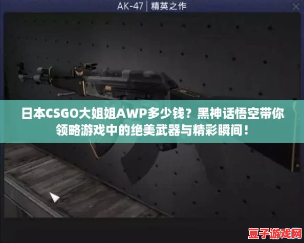 日本CSGO大姐姐AWP多少錢