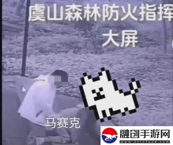 在野外撐傘拔蘿卜可行嗎