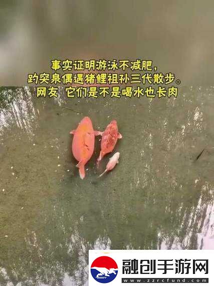 女人鯉魚(yú)喝水圖解大全之詳細(xì)解析