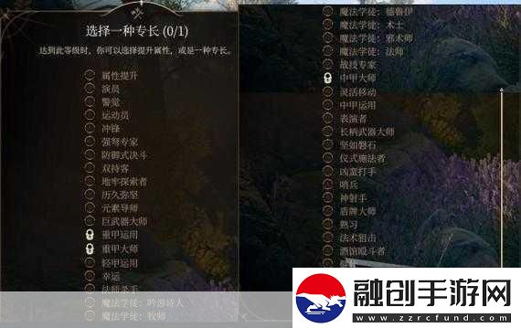 博德之門(mén)3攻略秘籍